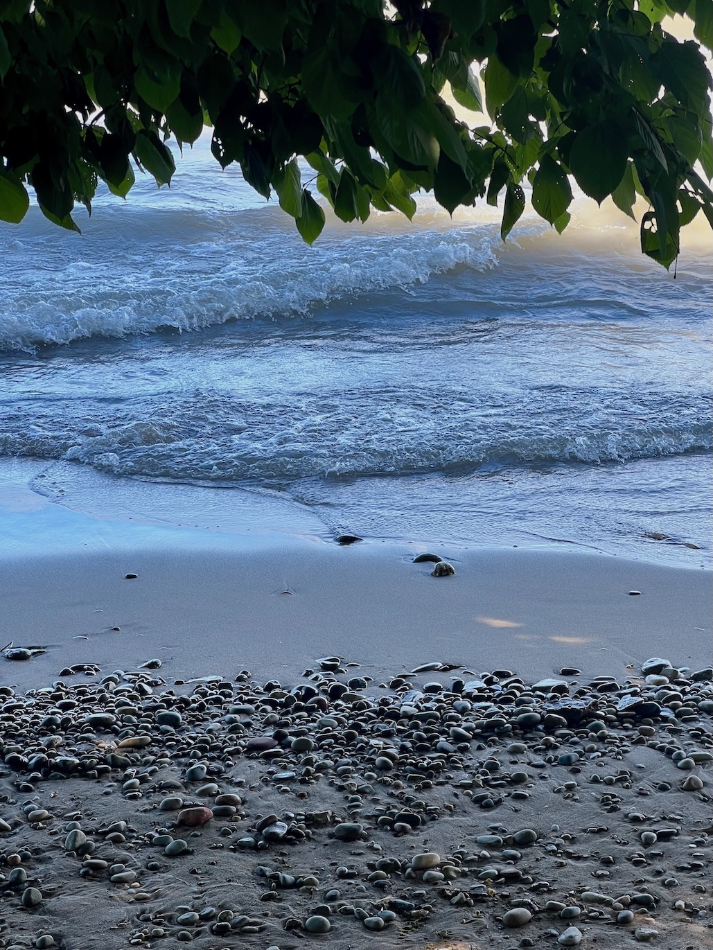beachscene.jpeg